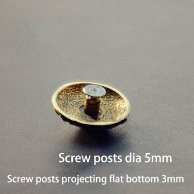 NA069 Side Face Skull Conchos 24mm