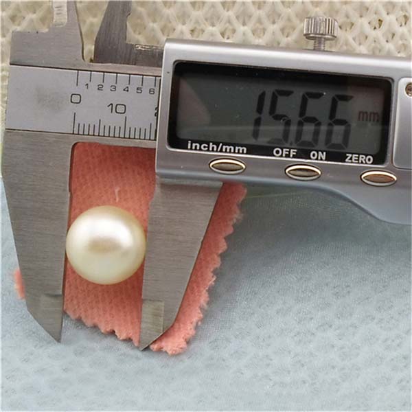 Q161 Round/Pearl Plastic Rivets 16mm 1000pcs/bag