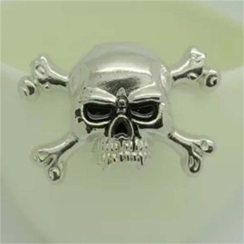 D006 Skull Alloy Rivets 40x30mm 100pcs/bag